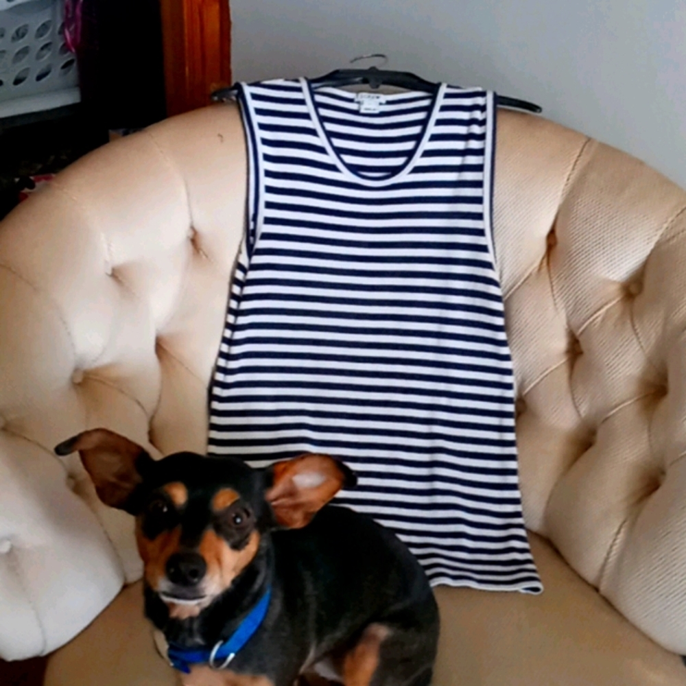 J.crew navy and white strip tank